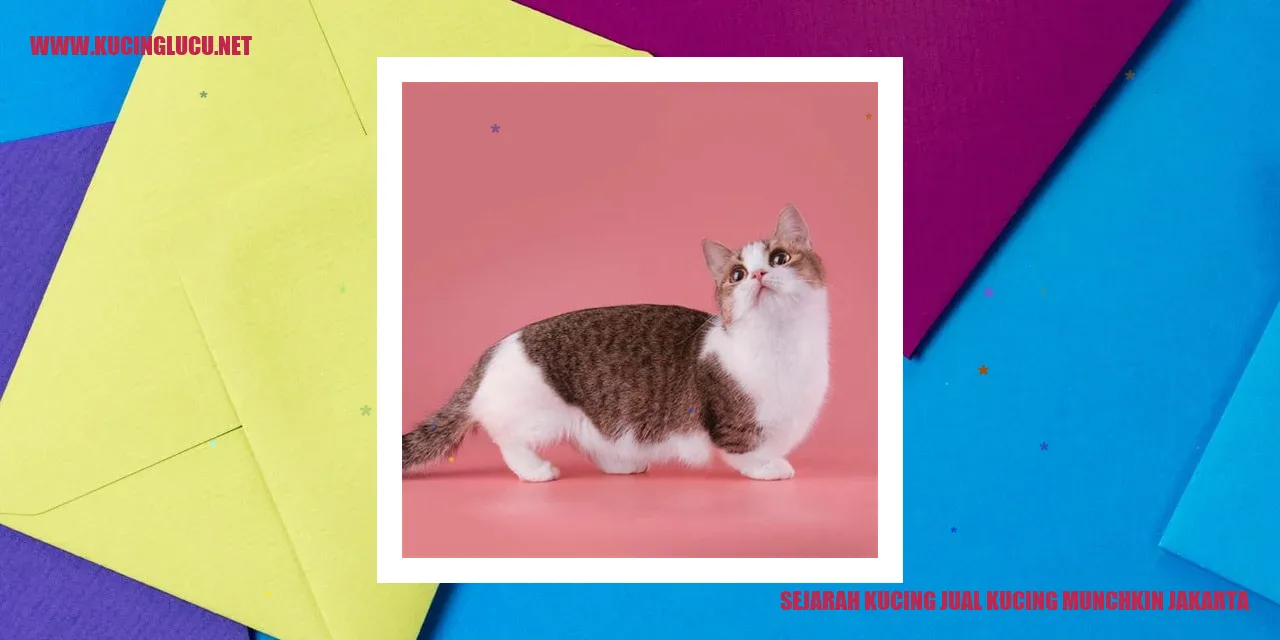Sejarah Kucing Munchkin dan Penjualan Kucing Munchkin di Jakarta