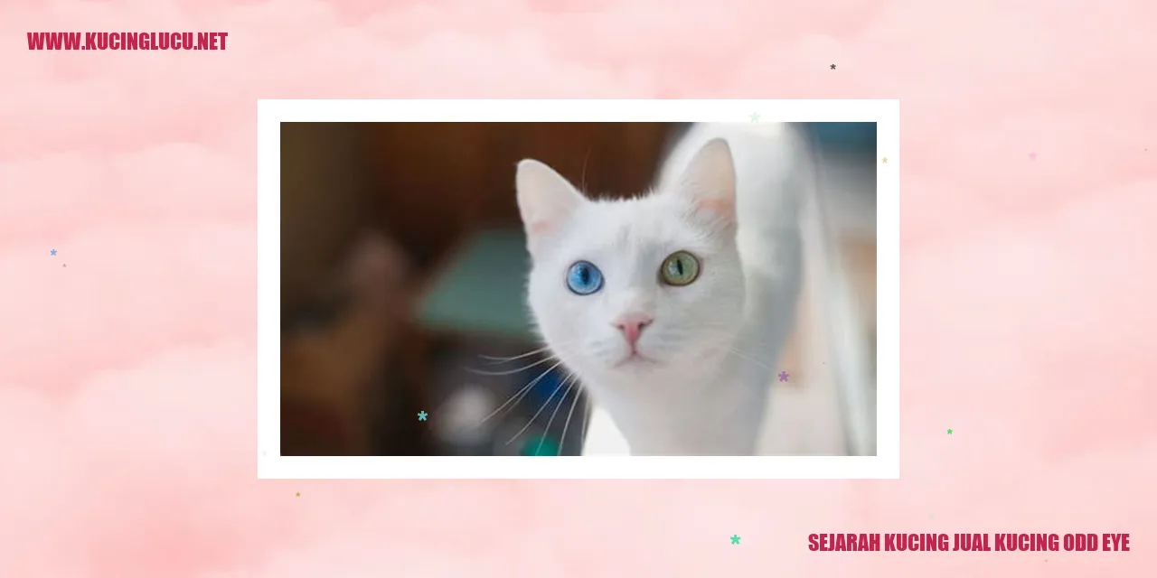 Sejarah Kucing Jual Kucing Odd Eye
