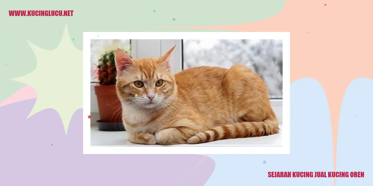Sejarah Kucing Jual Kucing Oren