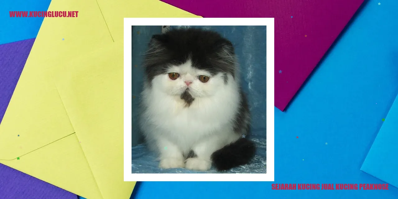 Kucing Peaknose