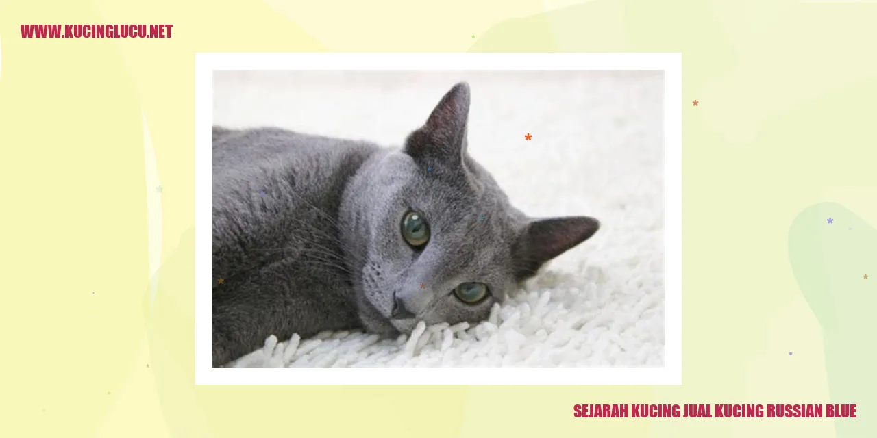 Kucing Russian Blue