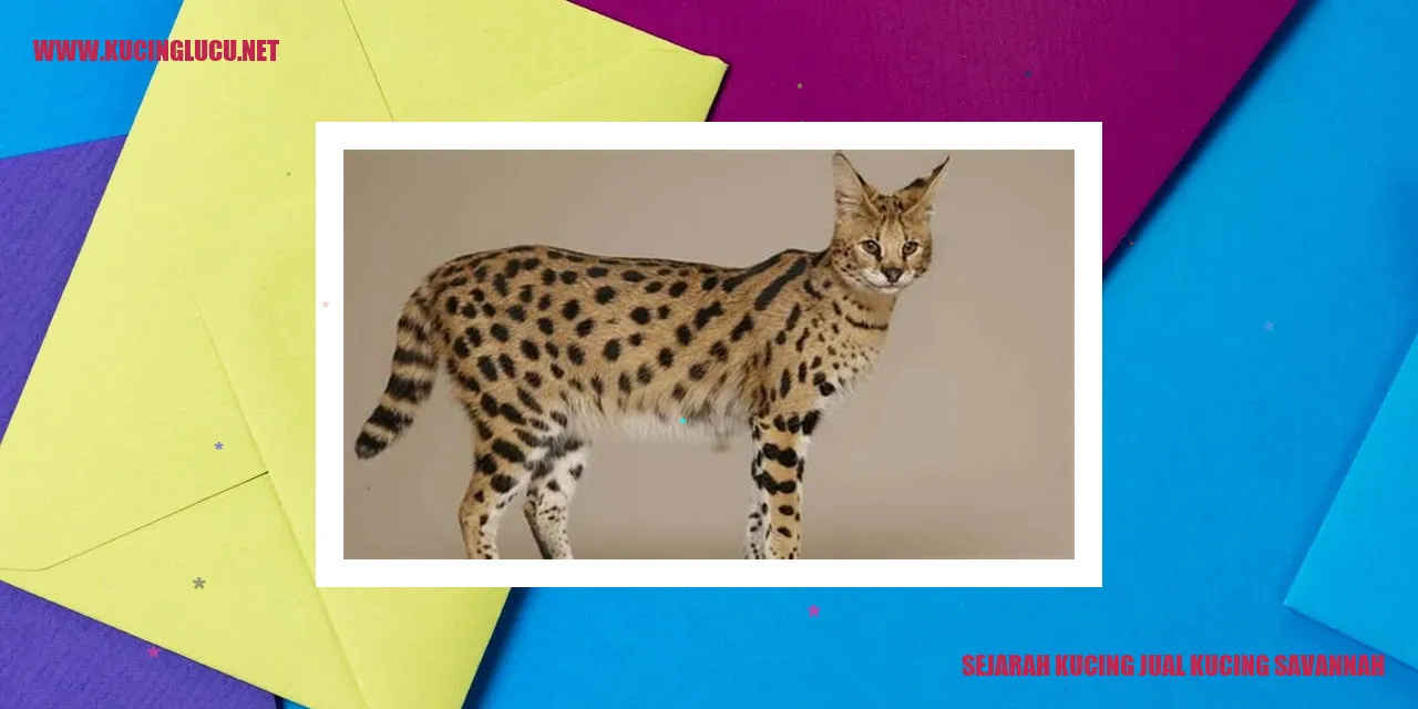 Sejarah Kucing Jual Kucing Savannah
