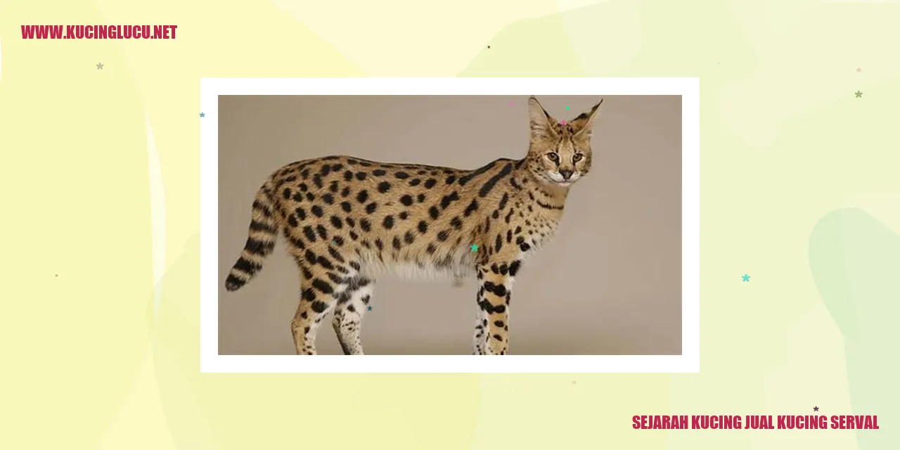 Sejarah Perniagaan Kucing Serval