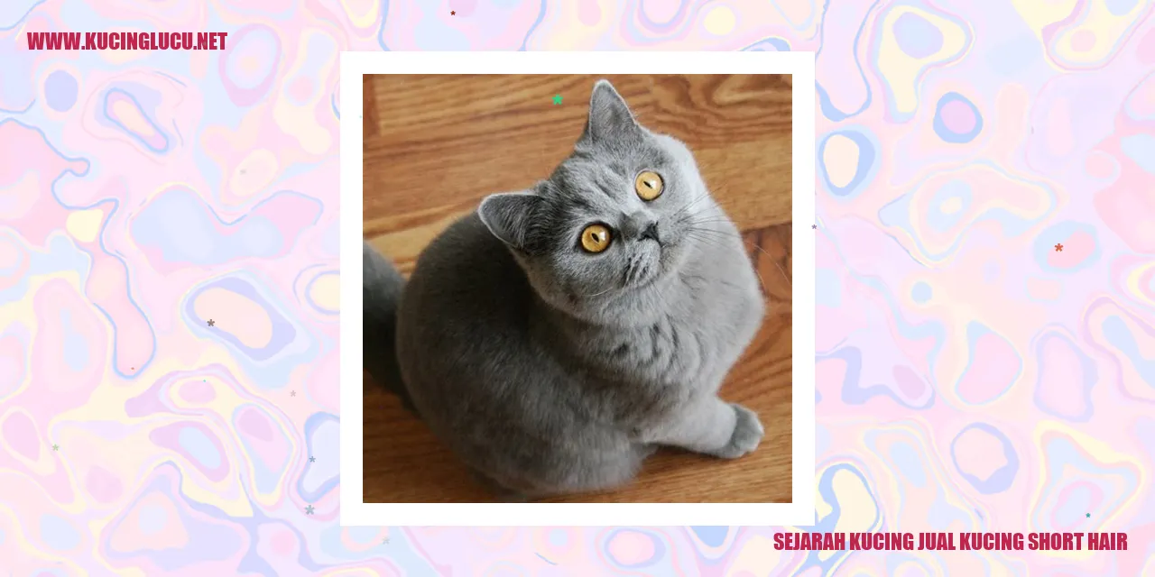 Foto Kucing Bulu Pendek
