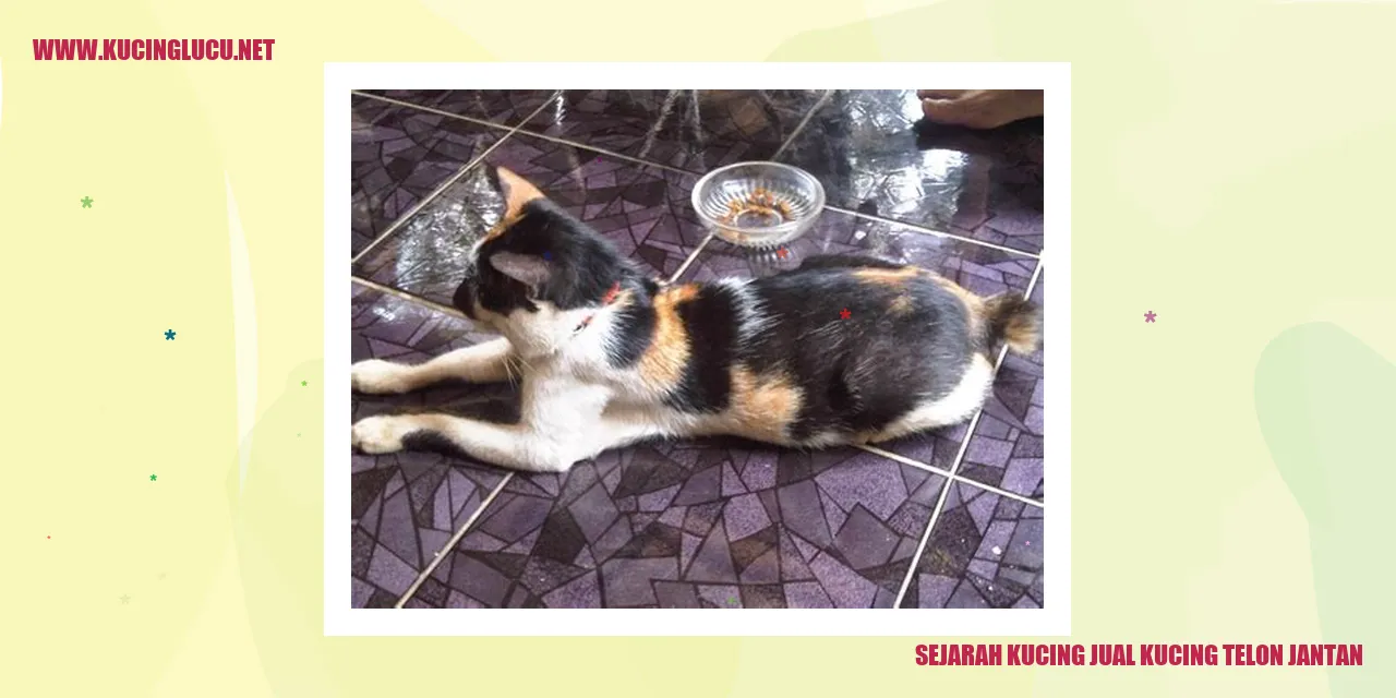 Kucing Telon Jantan dalam Budaya Indonesia
