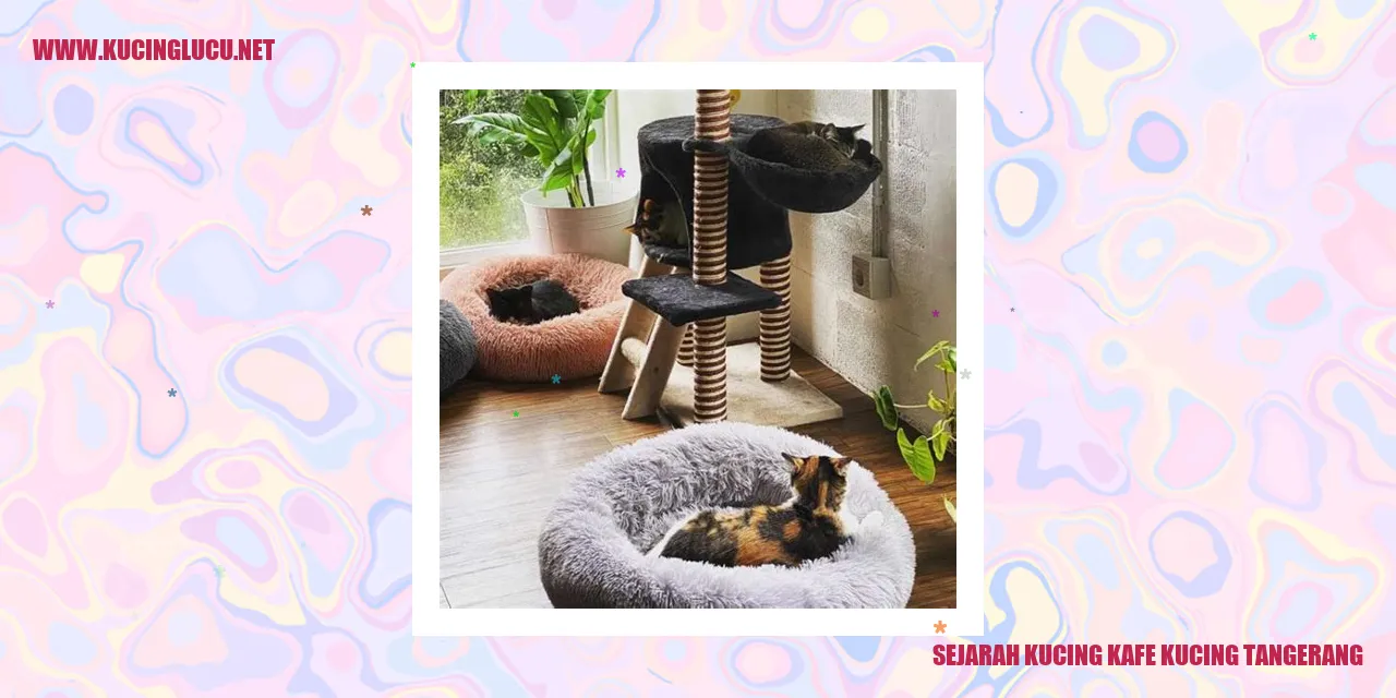 Kafe Kucing di Tangerang