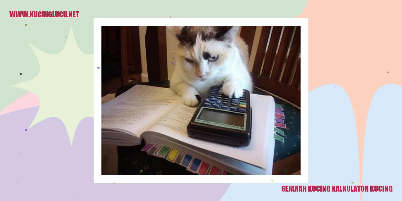 Gambar Kalkulator Kucing