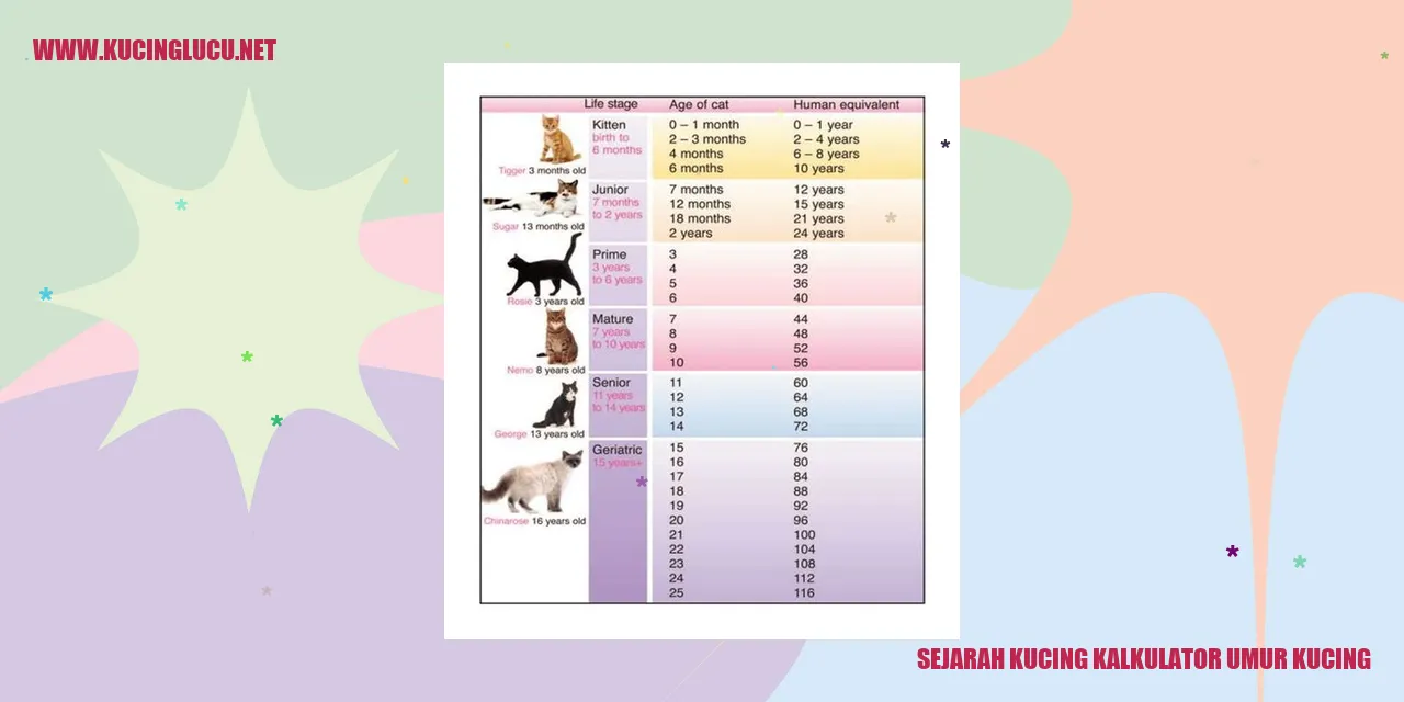Gambar Si Kucing