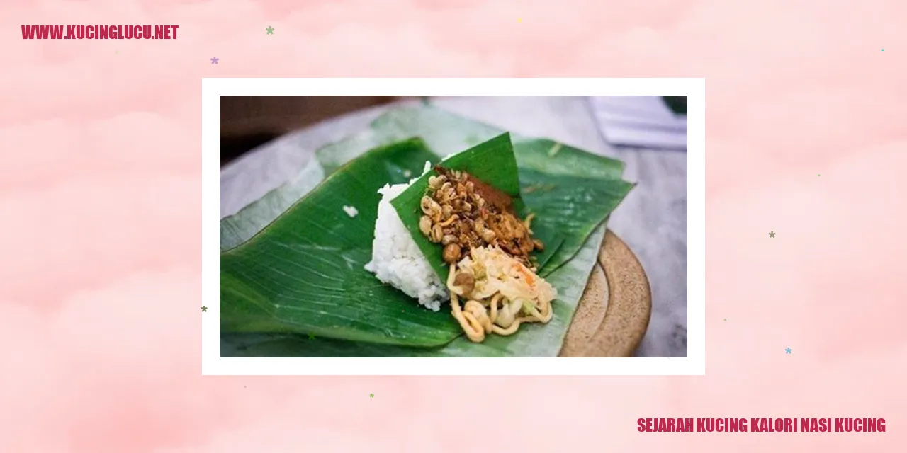 Gambar Kucing Kalori Nasi Kucing