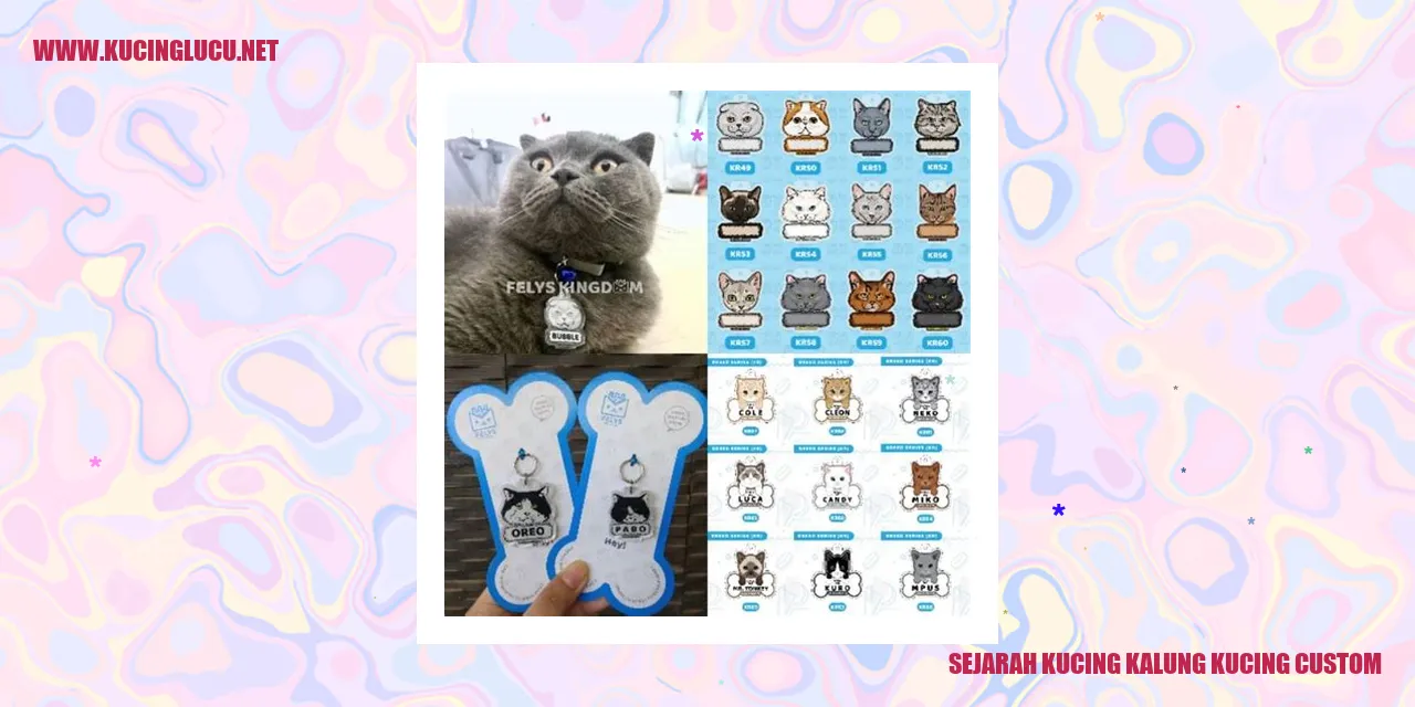 Kucing Kalung Kucing Custom