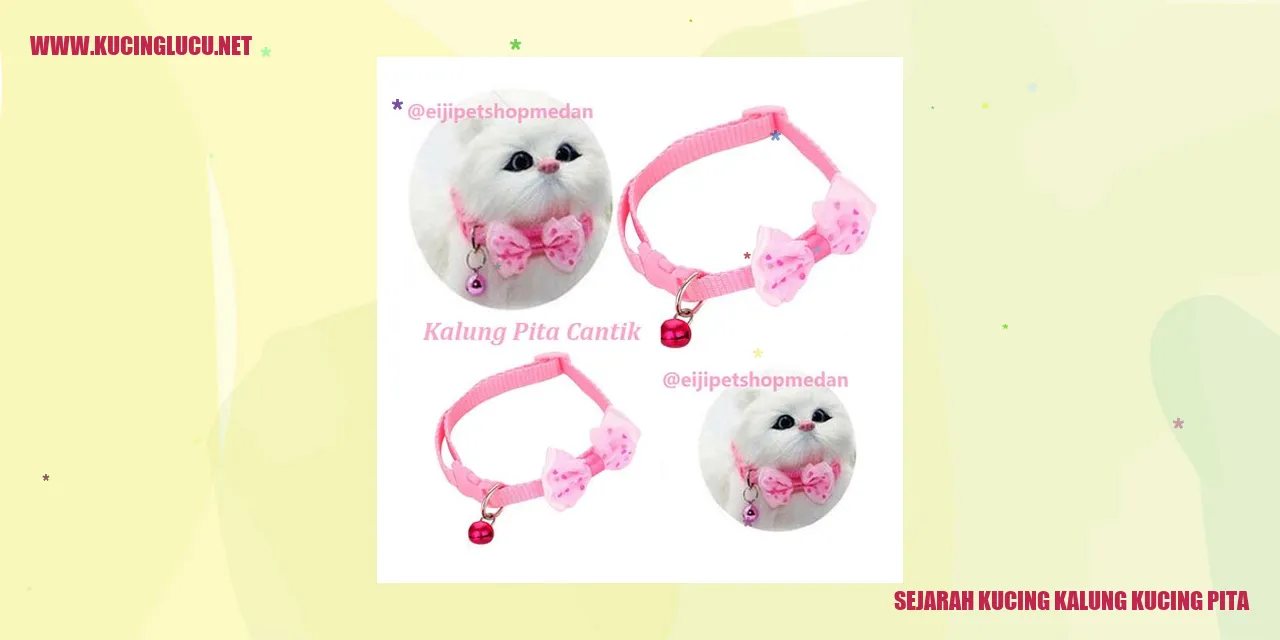 Kucing Kalung Pita