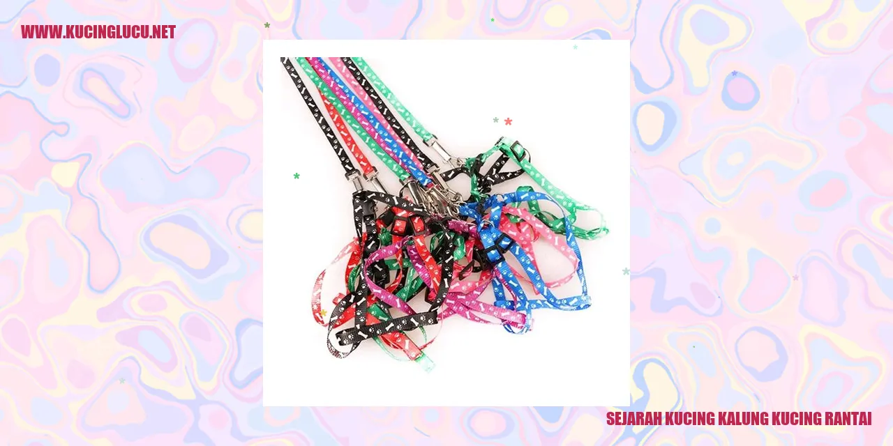 Kucing Kalung Kucing Rantai