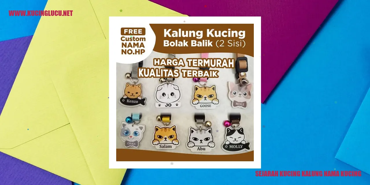 Gambar Kucing dengan Kalung