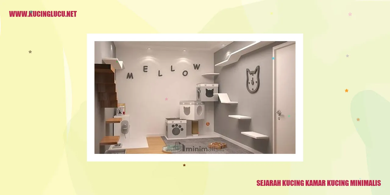 Kucing dalam Kamar Kucing Minimalis
