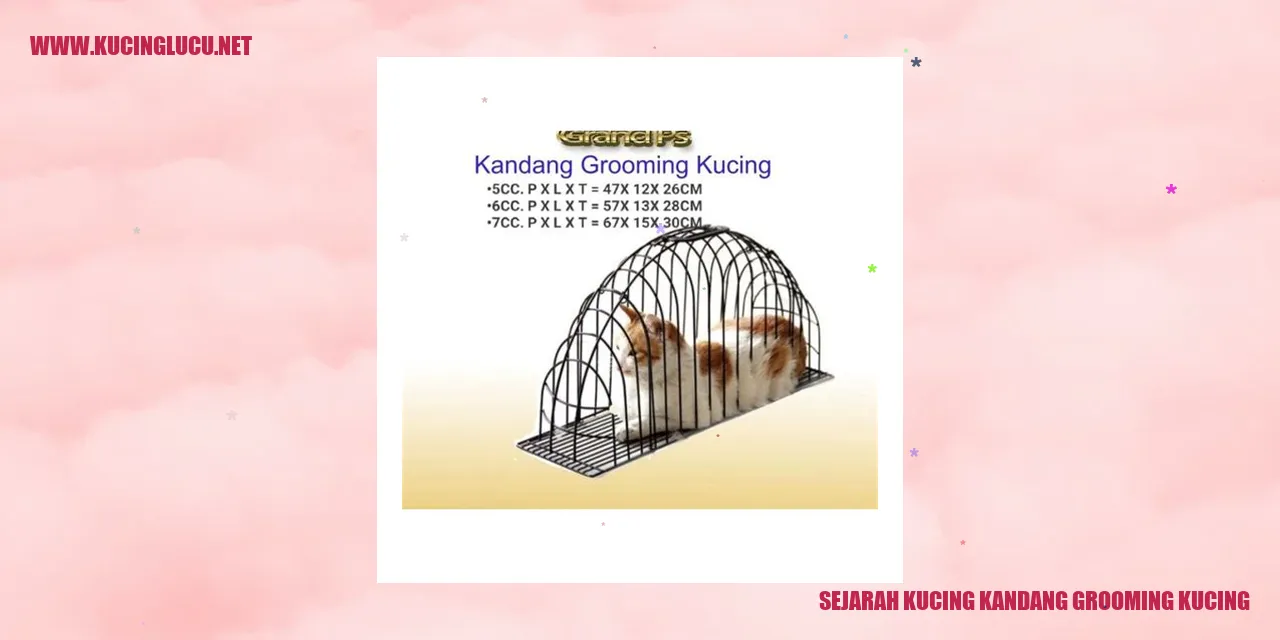 Gambar Sejarah Kucing Kandang Grooming Kucing