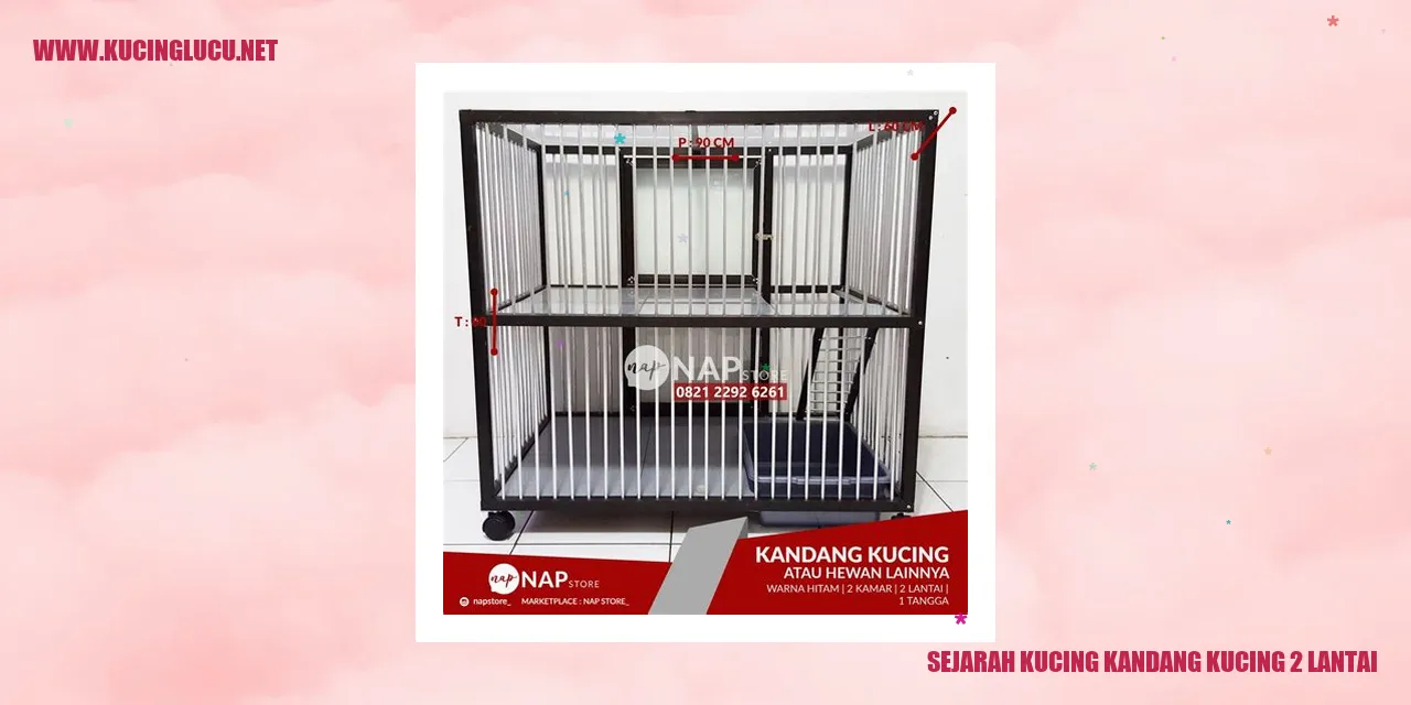 Gambar kucing dalam kandang 2 lantai