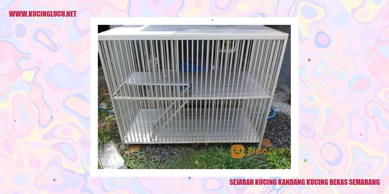 Sejarah Kucing Lokal Kandang di Semarang