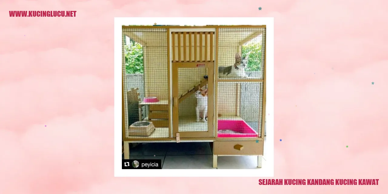Gambar Kucing Kandang Kucing Kawat