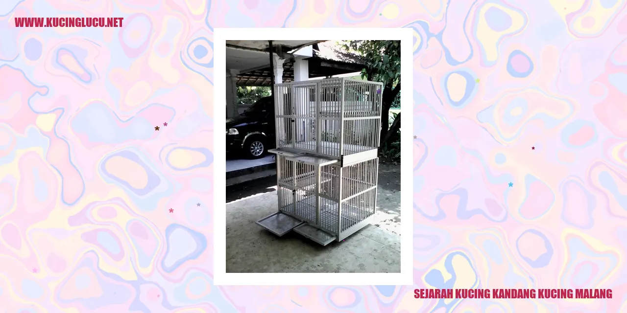 Sejarah Kucing Kandang Kucing Malang