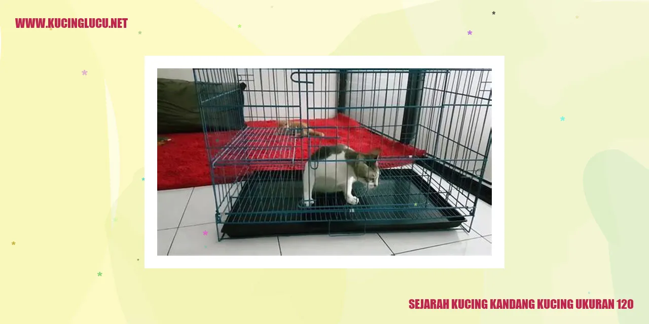 Kucing Rumah