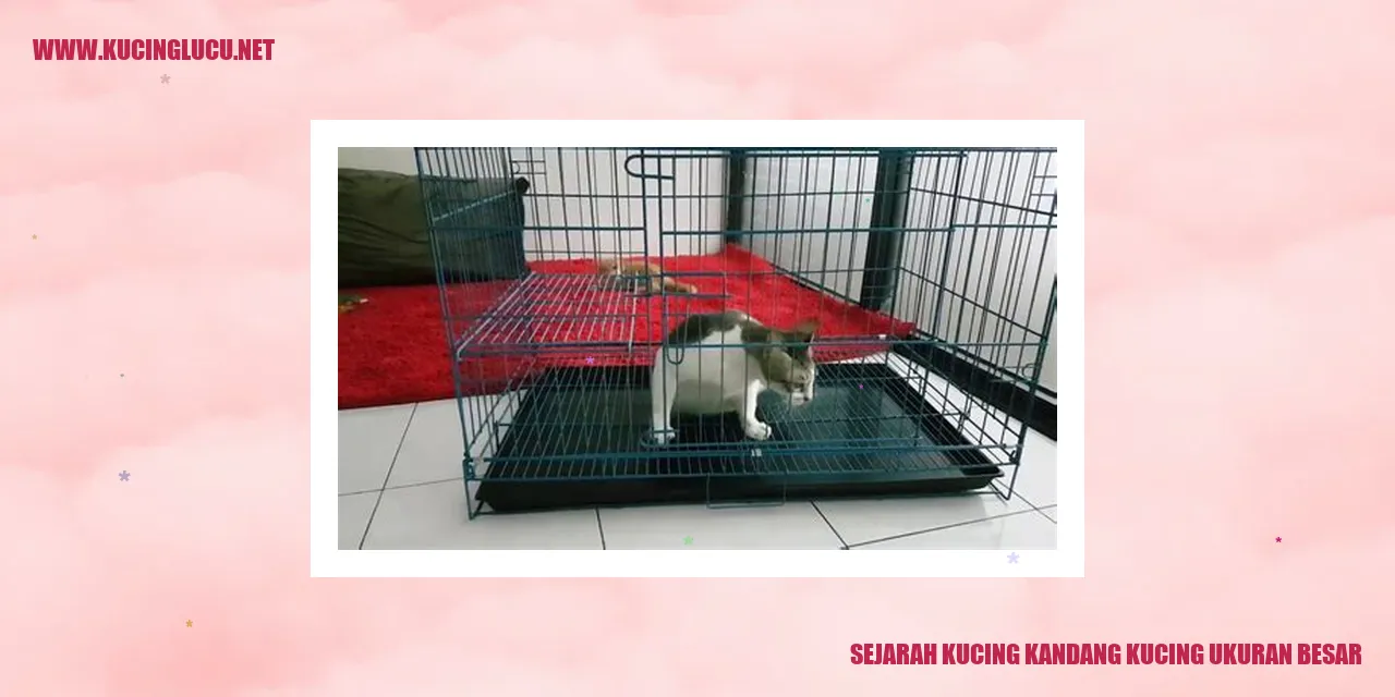 Sejarah Kucing Kandang Kucing Ukuran Besar