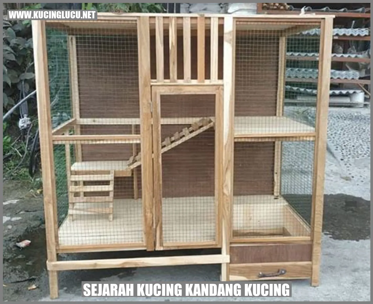 Sejarah Kucing Kandang Kucing