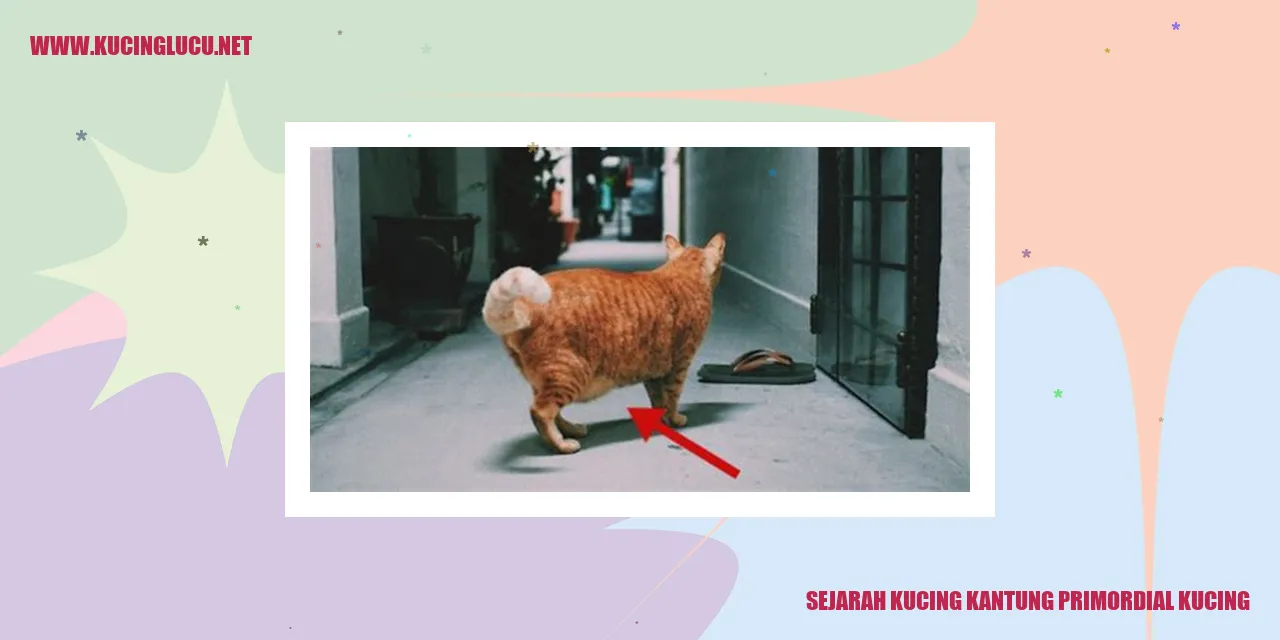 Kucing Kantung Primordial