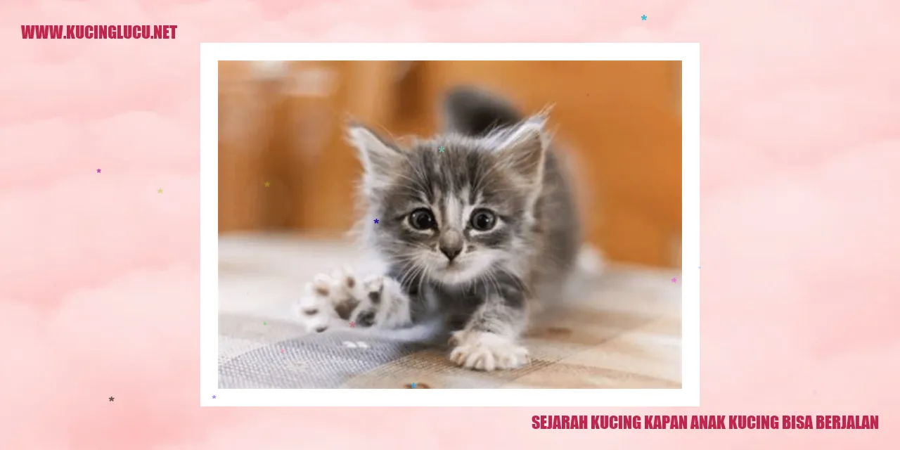 Gambar kecil kucing