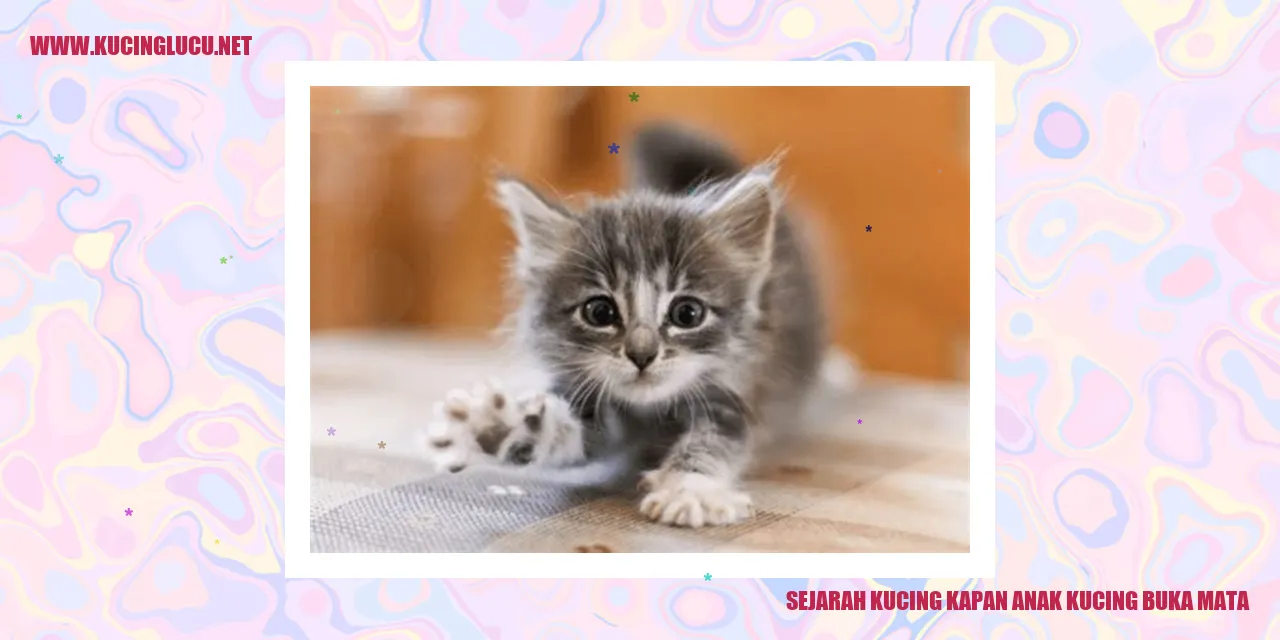 Anak Kucing Membuka Mata