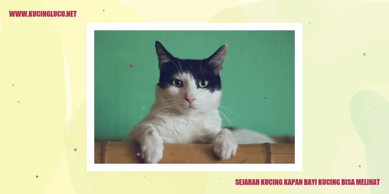 Ilustrasi Kucing