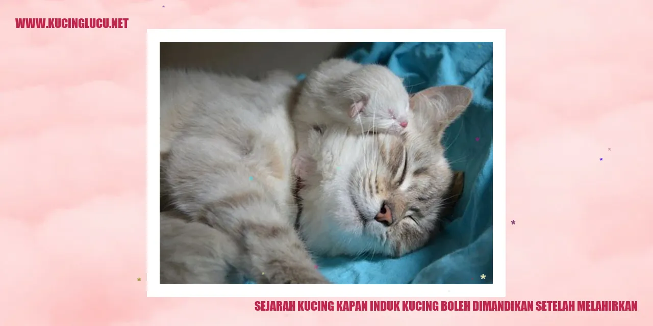 Kucing dan Anaknya
