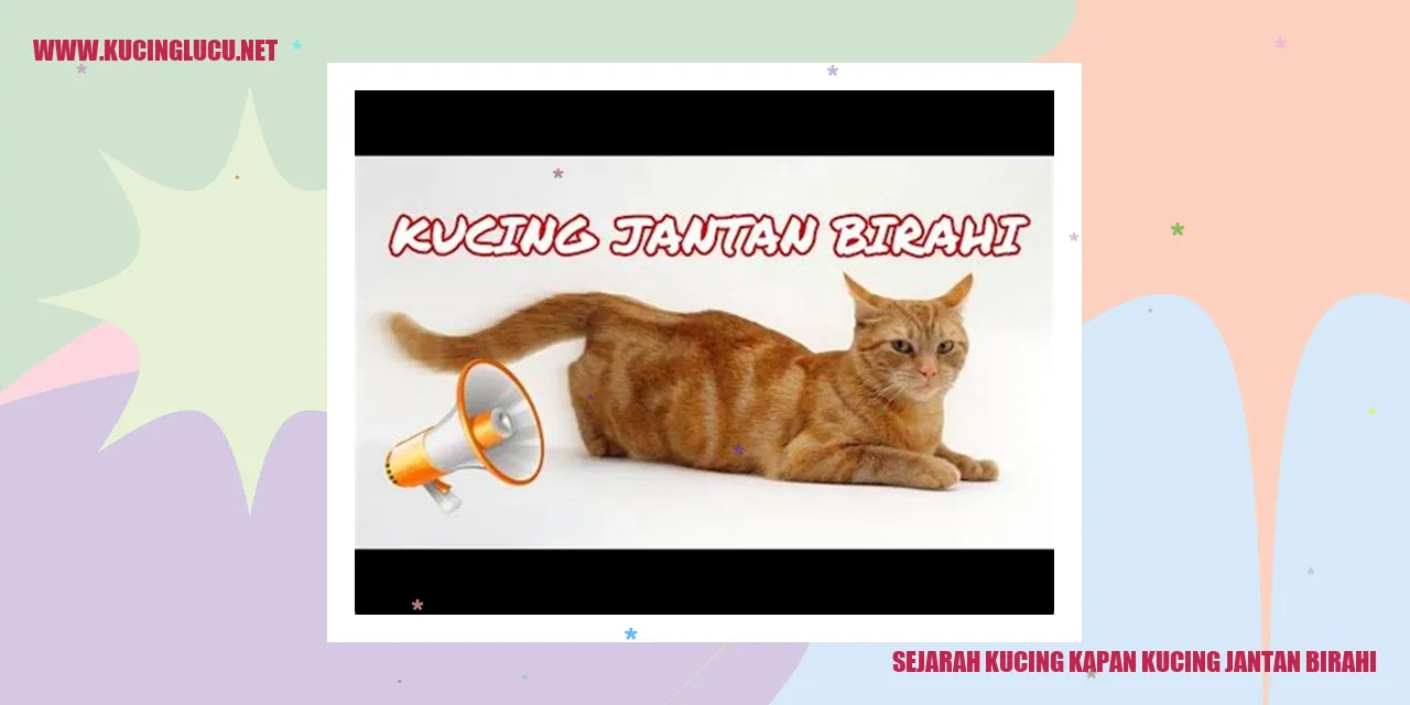 Ilustrasi Kucing