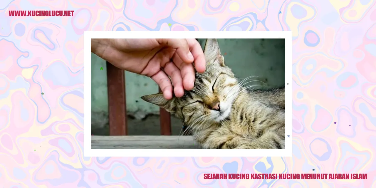 Kucing Kastrasi