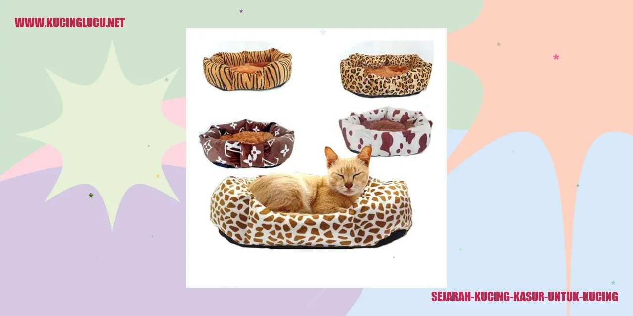 Gambar Kucing Kasur