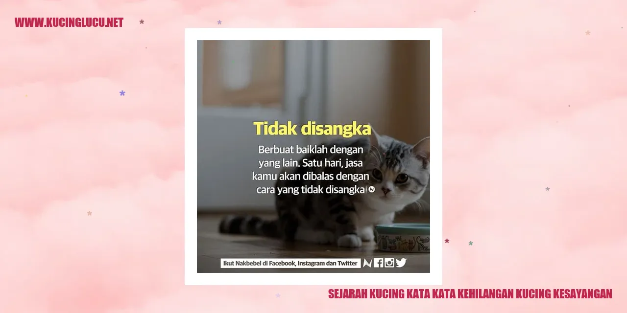 Gambar Si Kucing