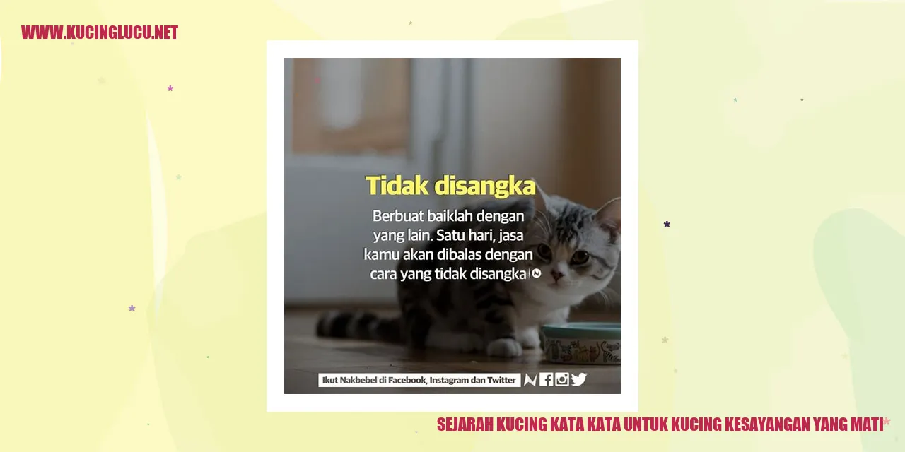 Gambar Kucing Kesayangan
