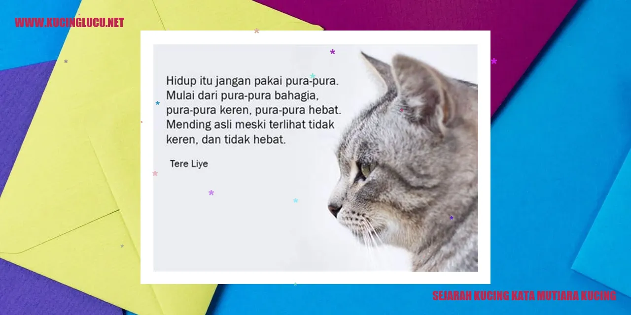 Kisah Indah Kucing