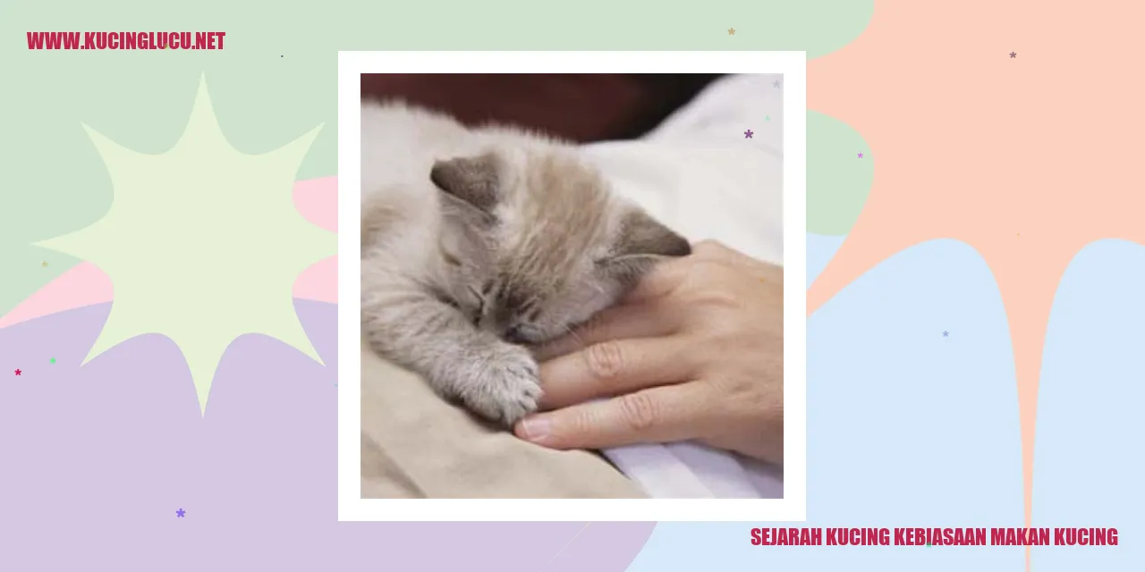 Ilustrasi Kucing
