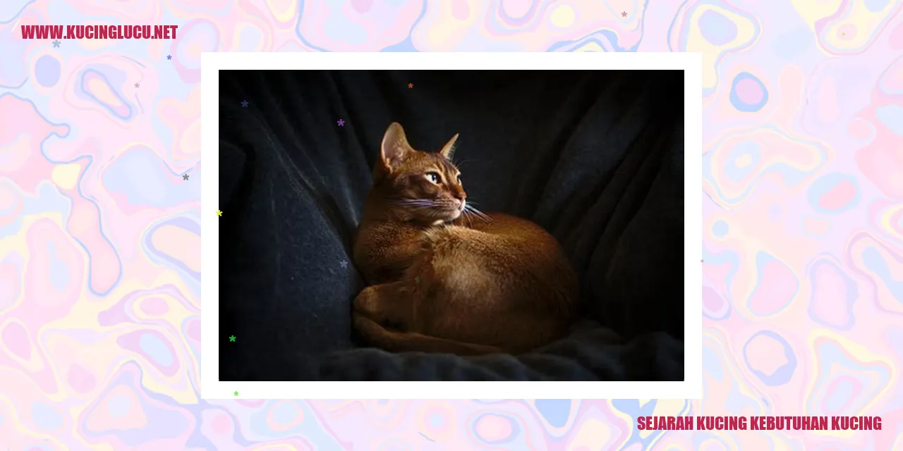 Kucing