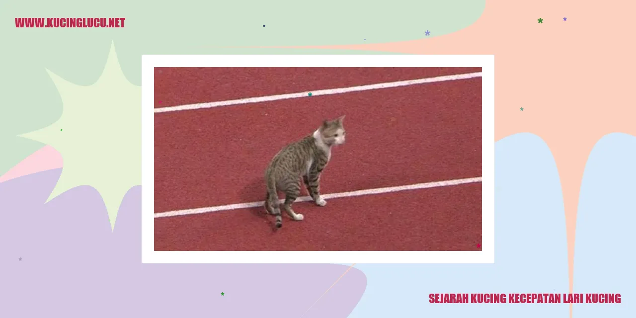 Sejarah Kucing kecepatan lari kucing