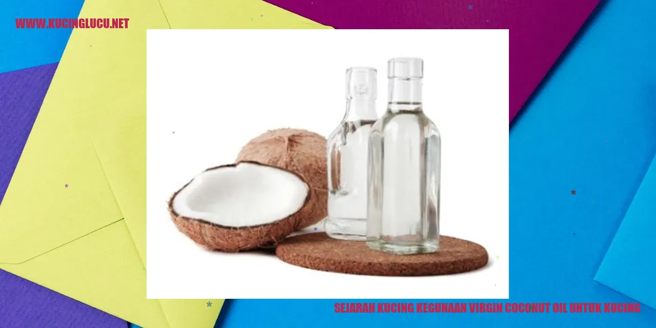 Kucing dengan Virgin Coconut Oil