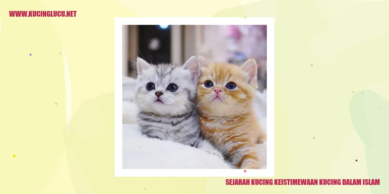 Potret Menggemaskan Kucing