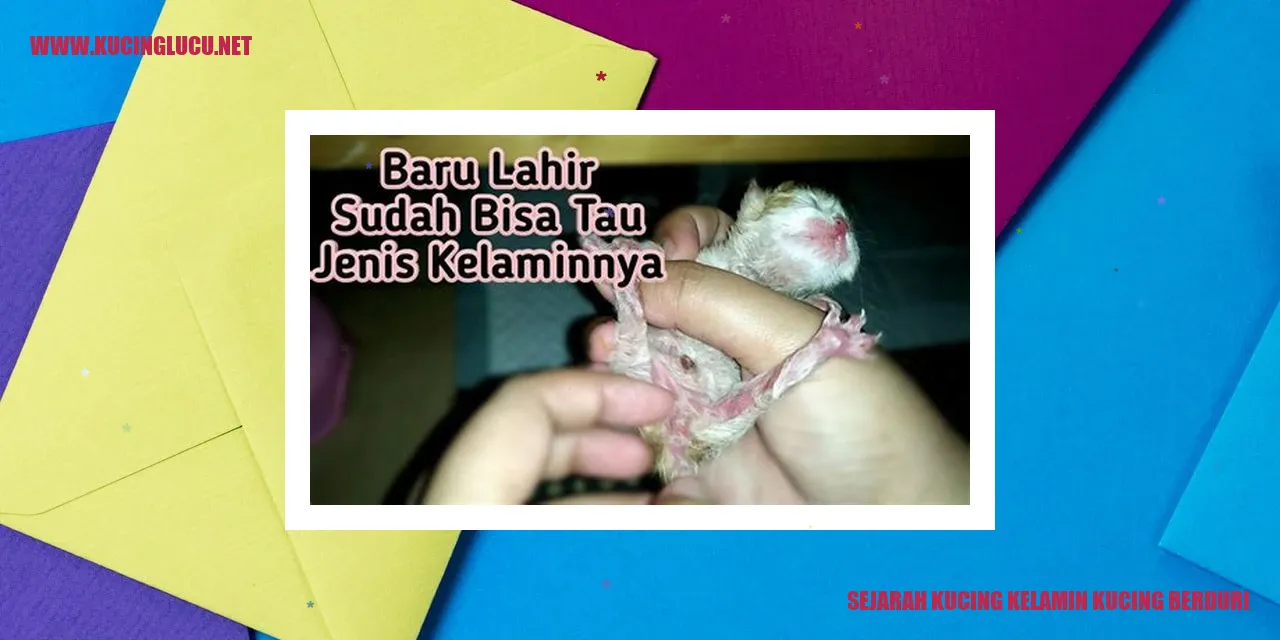 gambar kucing berduri