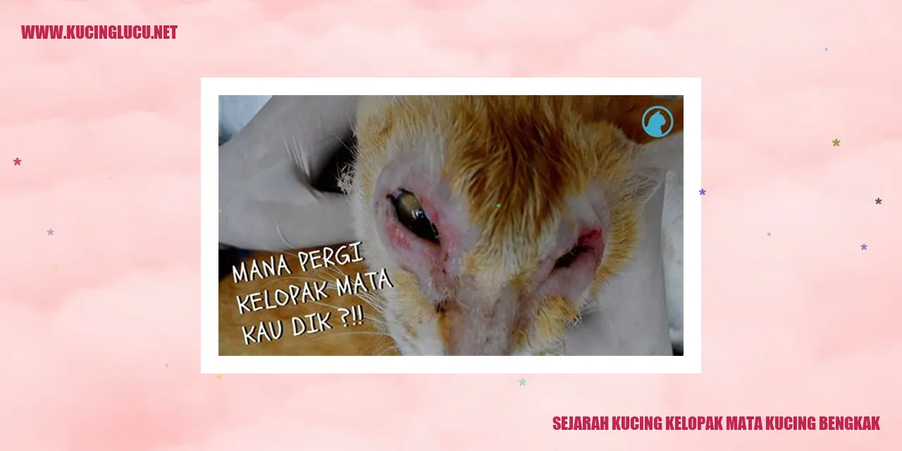 Kucing kelopak mata bengkak