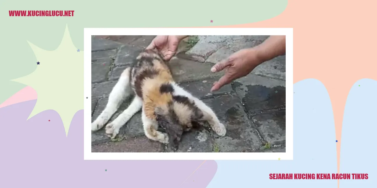 Gambar kucing terkena racun tikus
