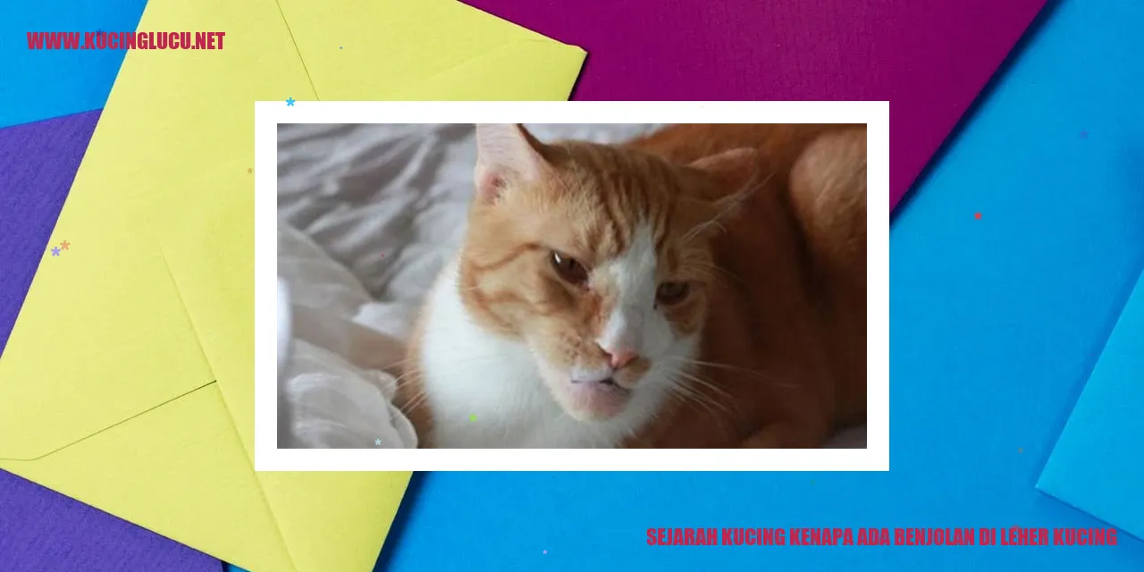Gambar kucing dengan benjolan di leher