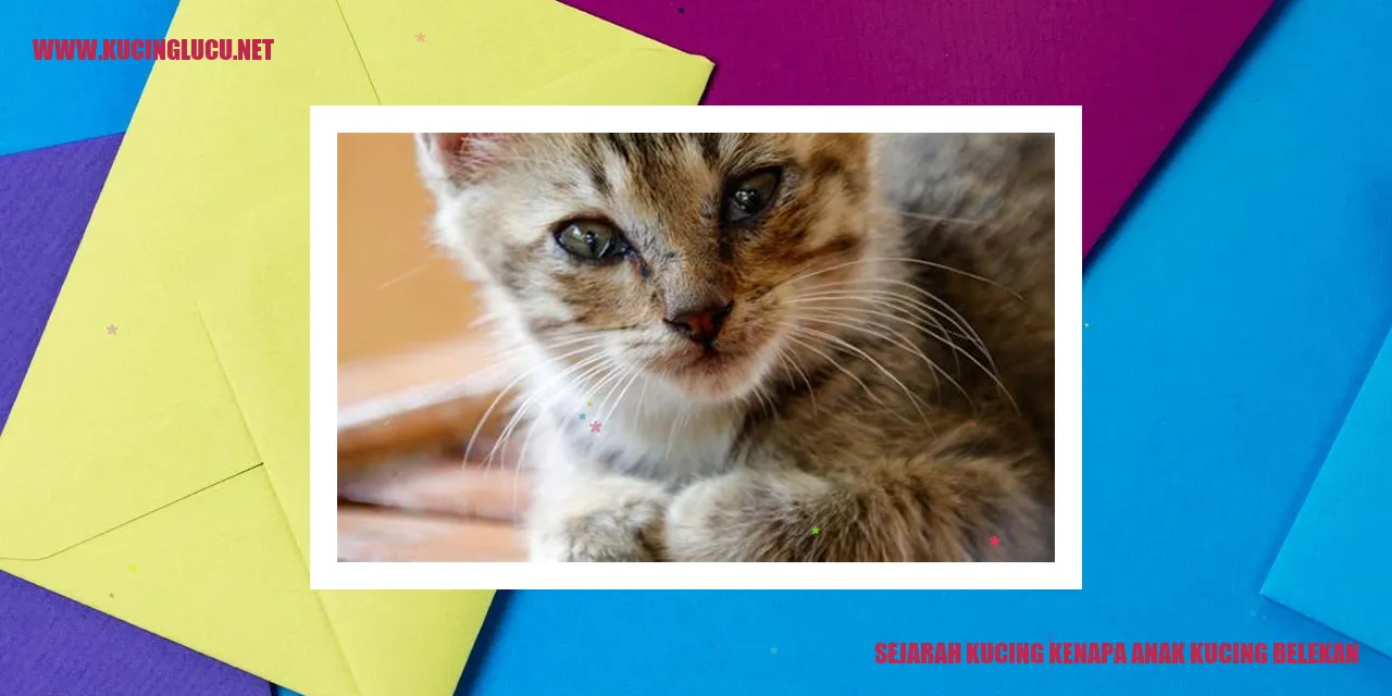 Gambar anak kucing