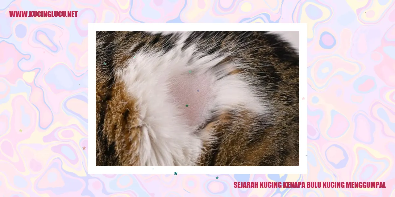 Gambar Kucing