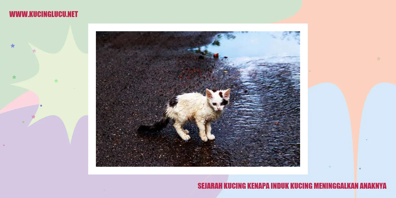 sejarah kucing