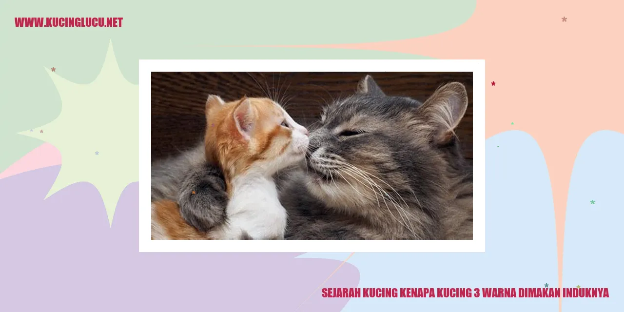 Ilustrasi Kucing Calico